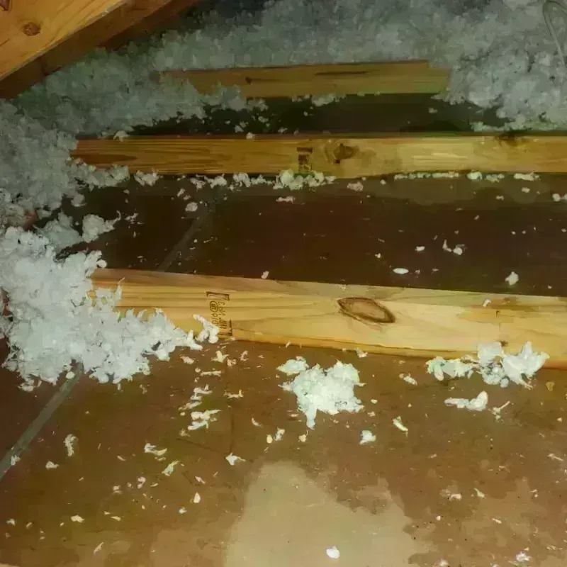 Attic Water Damage in Johnson County, MO