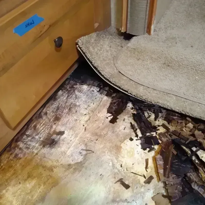 Wood Floor Water Damage in Johnson County, MO